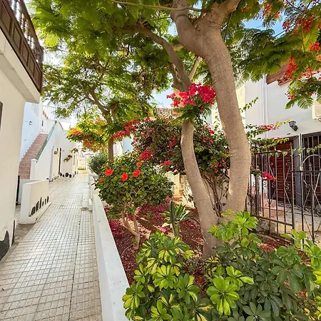 Cozy Duplex In * Costa Del Silencio