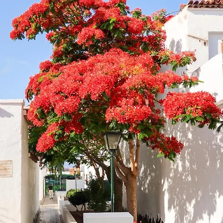 Cozy Duplex In Appartement Costa Del Silencio